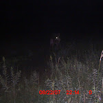 ICAM0079 (2).JPG