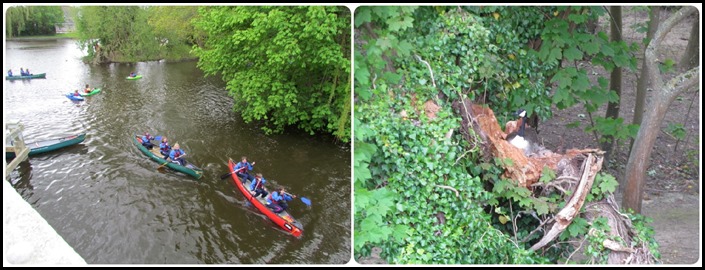 99 Canoes and Goose next in mill stream