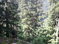 IMG_20110813_142024.jpg Photo