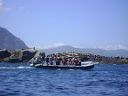 DSC08554.JPG
