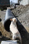 Wow, this is a giant tube!  It looks like it would be fun to run through!
