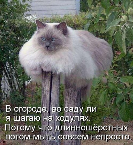 [kotomatrix_00073%255B3%255D.jpg]