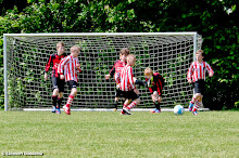 20130608 - WVV E3 - WESTERLEE TOERNOOI - 027.jpg