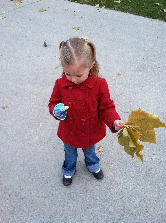 [IMG_0684%255B4%255D.jpg]
