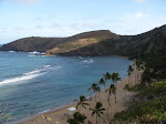 DSCF0159.JPG