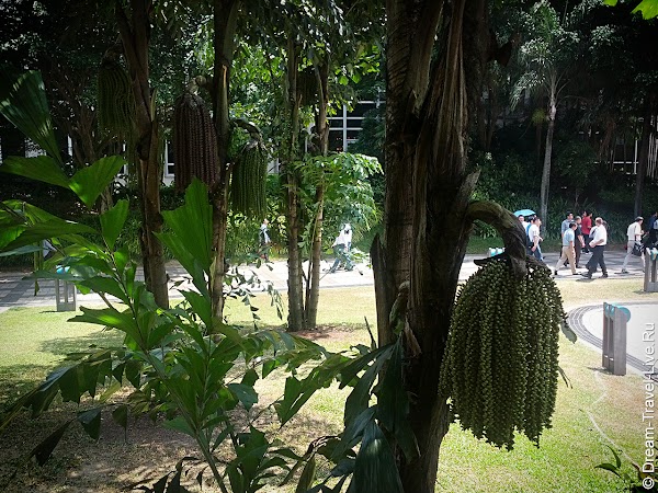 IMG_20120628_124505.jpg