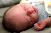 Baby Ted