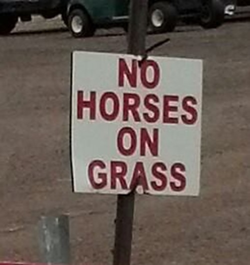 No horses