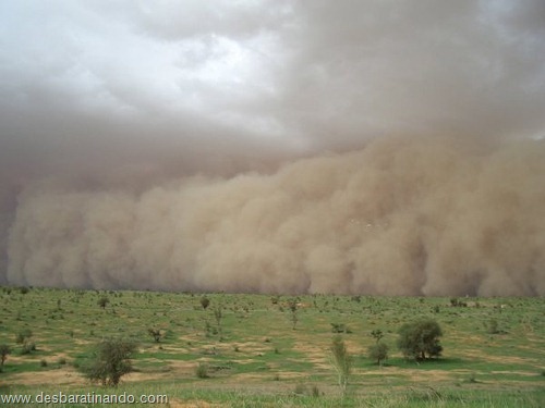 tempestade de areia desbaratinando  (30)