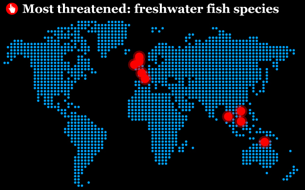 Most threatened freshwater fish species. IUCN / telegraph.co.uk