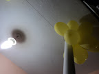 DSC00727.JPG