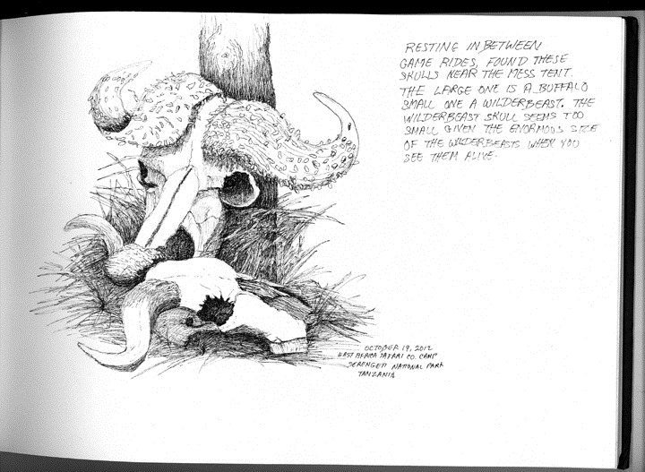 [October-19-2012-skulls-sketch3.jpg]