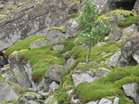 IMG_6150 IMG_6150