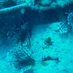 mer rouge aout 2008 026.JPG