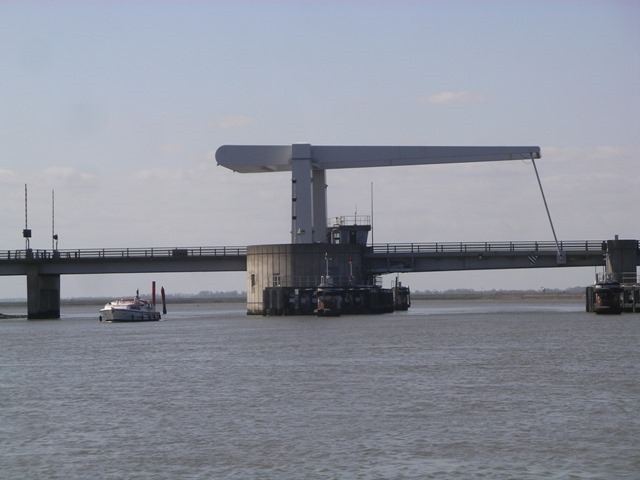 IMGP4451