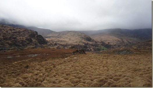 01.Slaheny River Bog