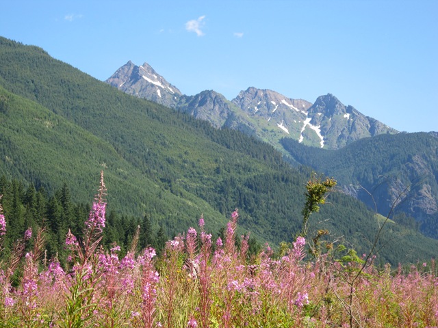 [IMG_52533.jpg]