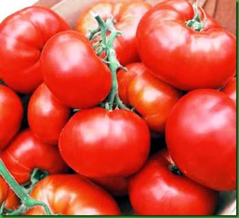 TO Heinz 1350 TO Heinz 1350