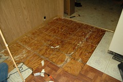the floor 006 the floor 006