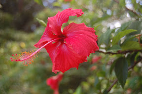 DSC_0183.JPG