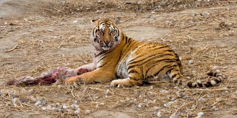 This is what happens at work.