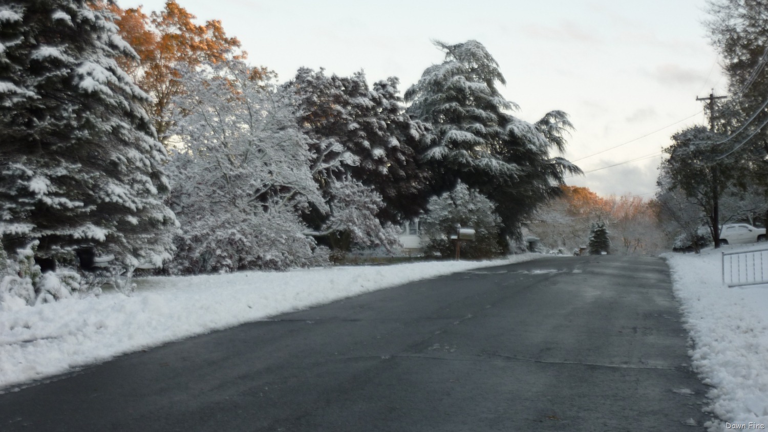 [Blizzard%2520Oct%252029_005%255B3%255D.jpg]