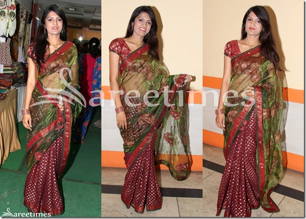 Ritu_Varma_Saree