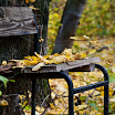 DSC_7086.jpg