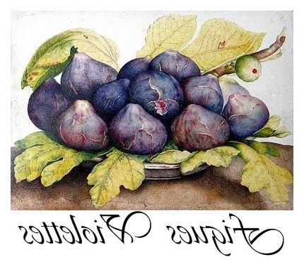 [figues%2520violettes%2520transfer%255B5%255D.jpg]