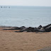 Puducherry (Pondicherry)