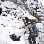 _DSC0398.jpg