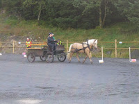 IMG_4129.JPG