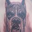 Boxer