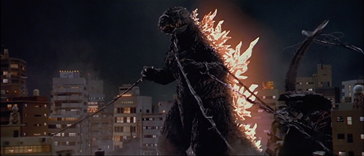 [Godzilla-2000-Cables2.jpg]