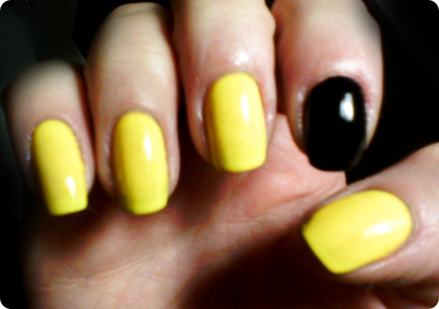 IMG02145 IMG02145