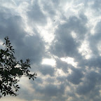 Kraków maj 179.JPG