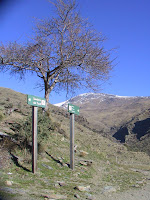 IMG_5627.JPG Photo