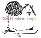 &copy;2011 missu amplu