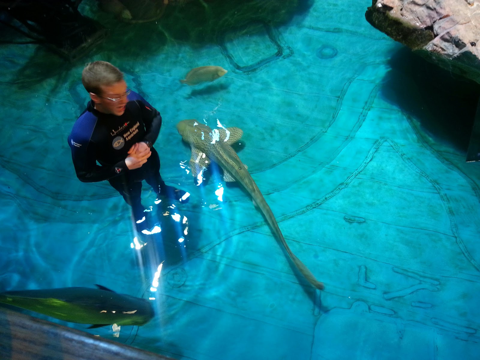 Experiencing The Near And Far Boston Days 1 & 2 Quincy Market, NE