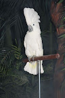 IMG_7375.JPG
