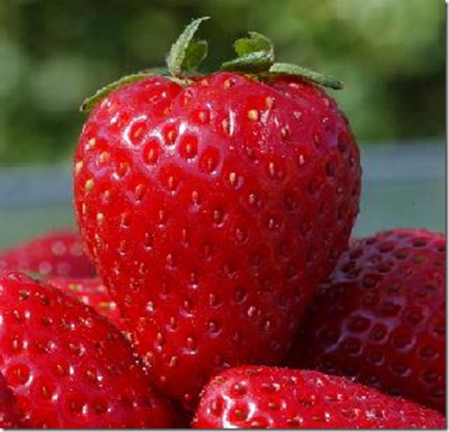 strawberry