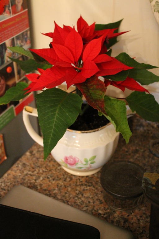 [IMG_4034%255B4%255D.jpg]