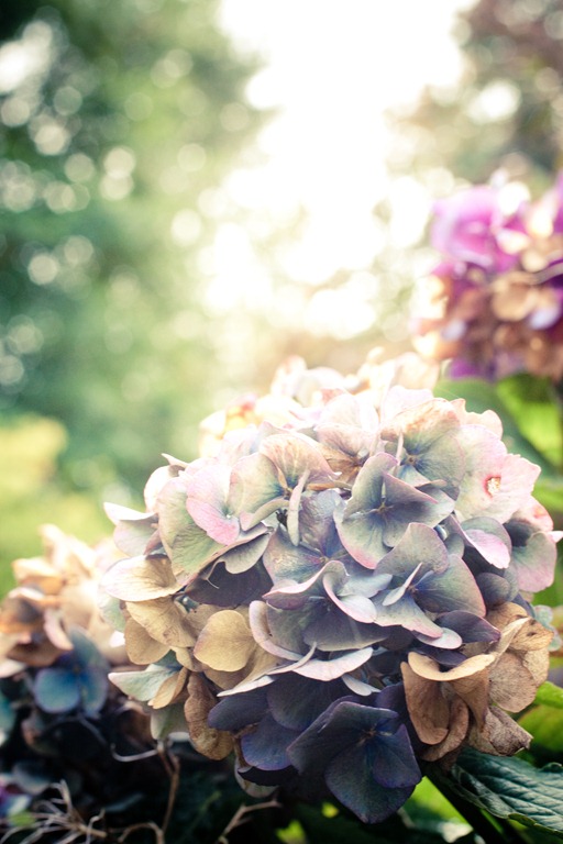 [20111014-IMG_7453-23.jpg]