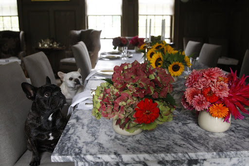 I think I heard Martha talking about having a brunch this weekend.