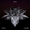 Rustie_Triadzz Slasherr Rustie_Triadzz Slasherr