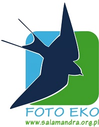 foto-eko_2012.jpg