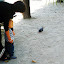 Titou et les oiseaux