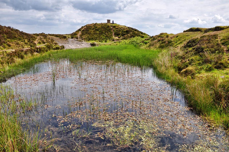 [Summit%2520and%2520pool%255B3%255D.jpg]