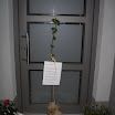 SDC12524.JPG