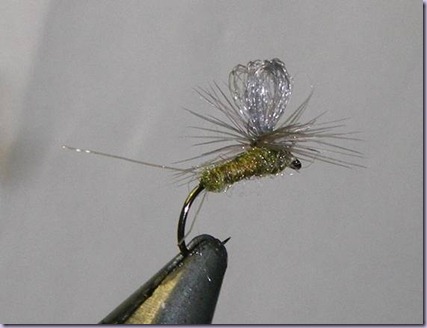 clip_image024 clip_image024